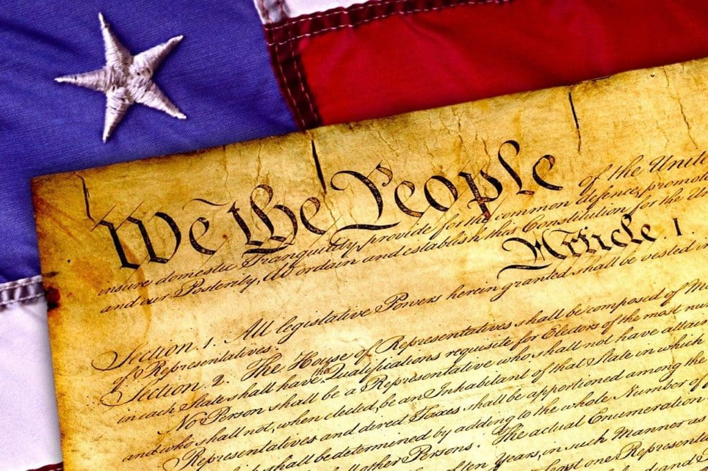 constitution, we the people is our protection